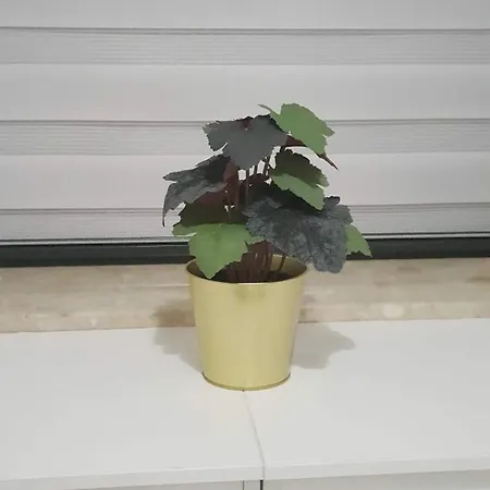 Arena No 76 Quarto em Acomodações Particulares